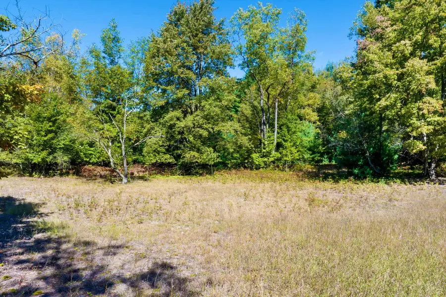 00 Landis, Thompsonville, MI 49683 - #3