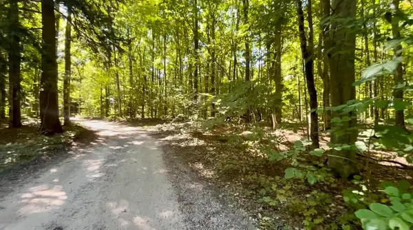 00 Langs LN, Interlochen, MI 49643