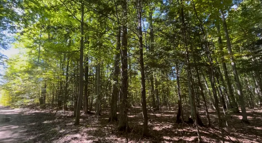 00 Langs LN, Interlochen, MI 49643 - #2