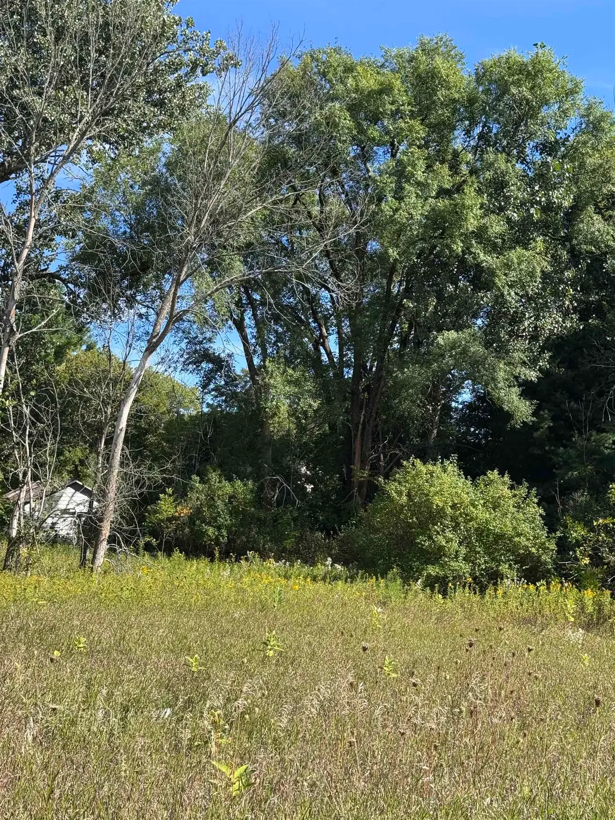 02 First, Mesick, MI 49668 - #1