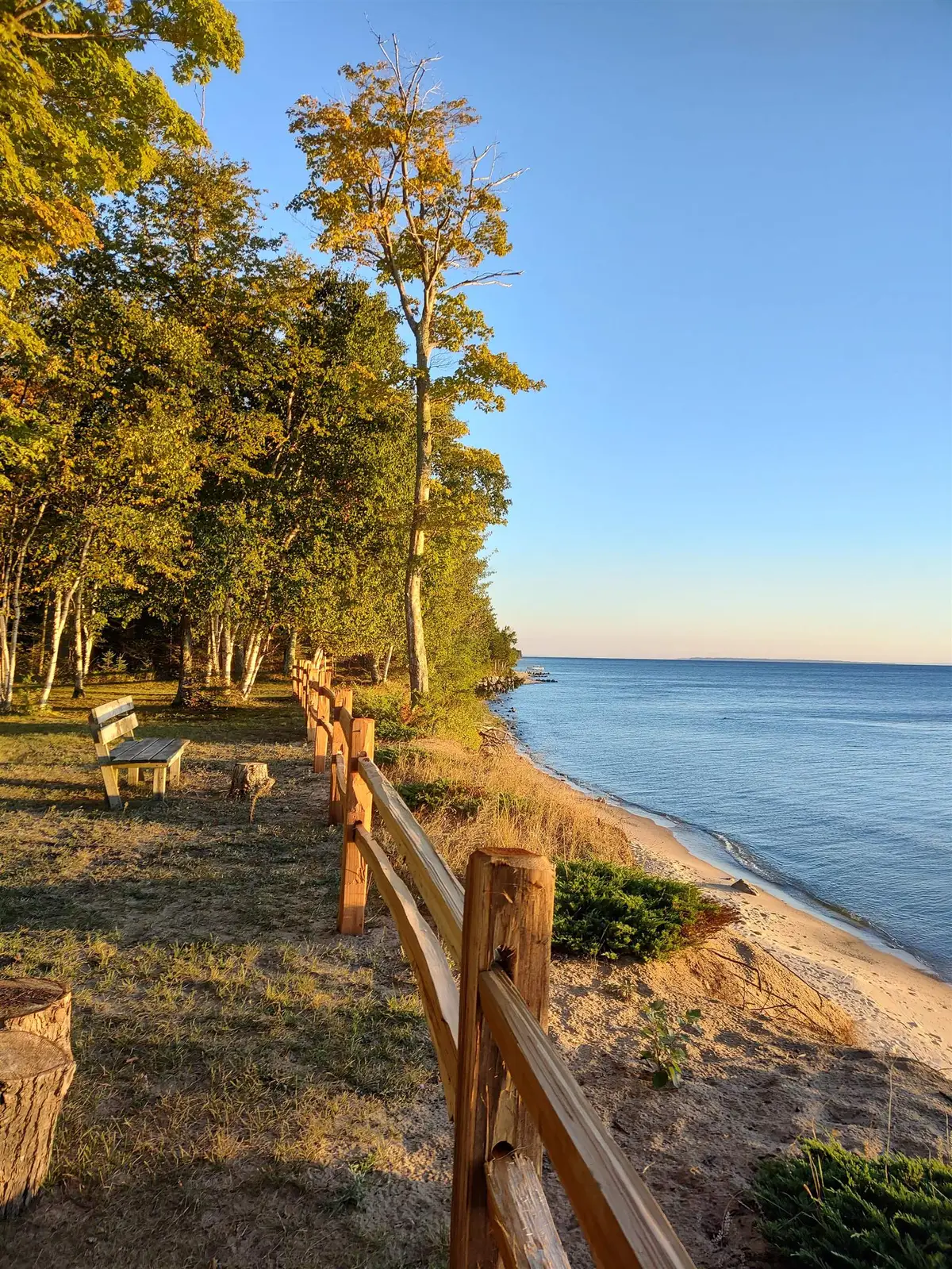 9029 Dungannon, Ellsworth, MI 49729 - #1