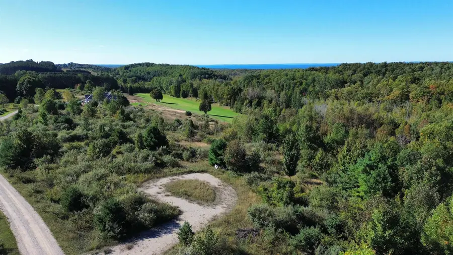 9029 Dungannon, Ellsworth, MI 49729 - #3