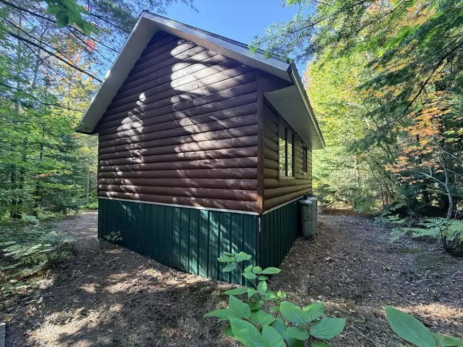 1690 Tower, Newberry, MI 49868 - #3