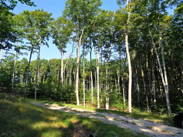 001 S Bright RD, MapleCity, MI 49664