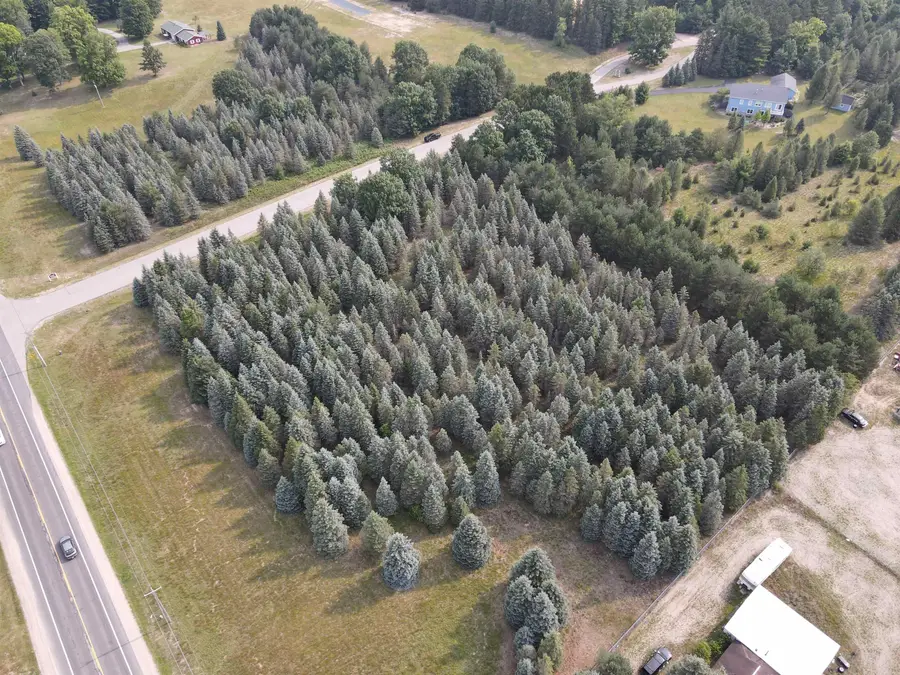 Parcels A & B Danbury RD, Kingsley, MI 49649 - #3