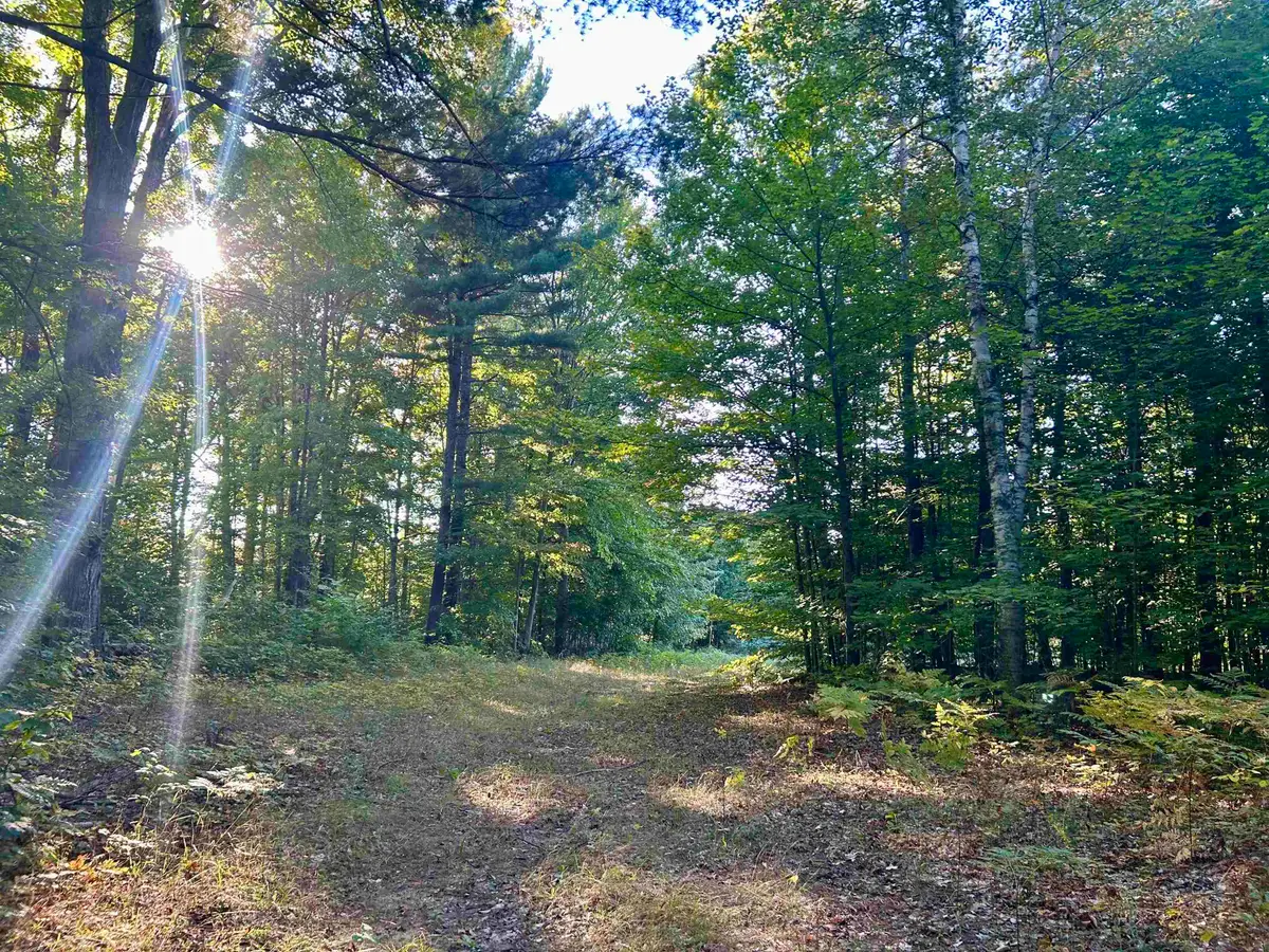 00 Landis, Thompsonville, MI 49683 - #1