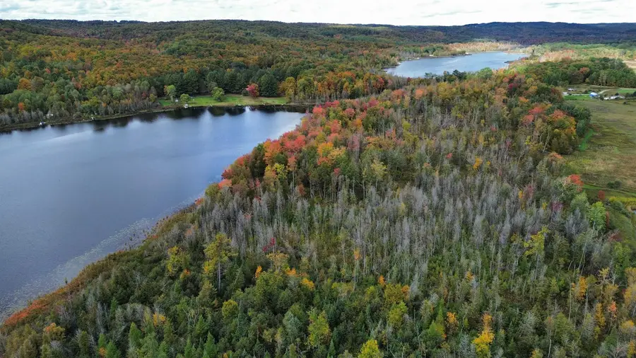 0 Wilson, East Jordan, MI 49727 - #2