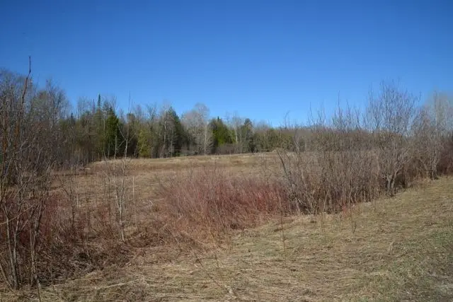 0 Wilson, East Jordan, MI 49727 - #3