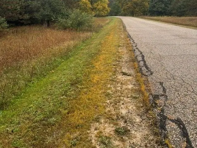 00 Bush, Bellaire, MI 49615 - #1