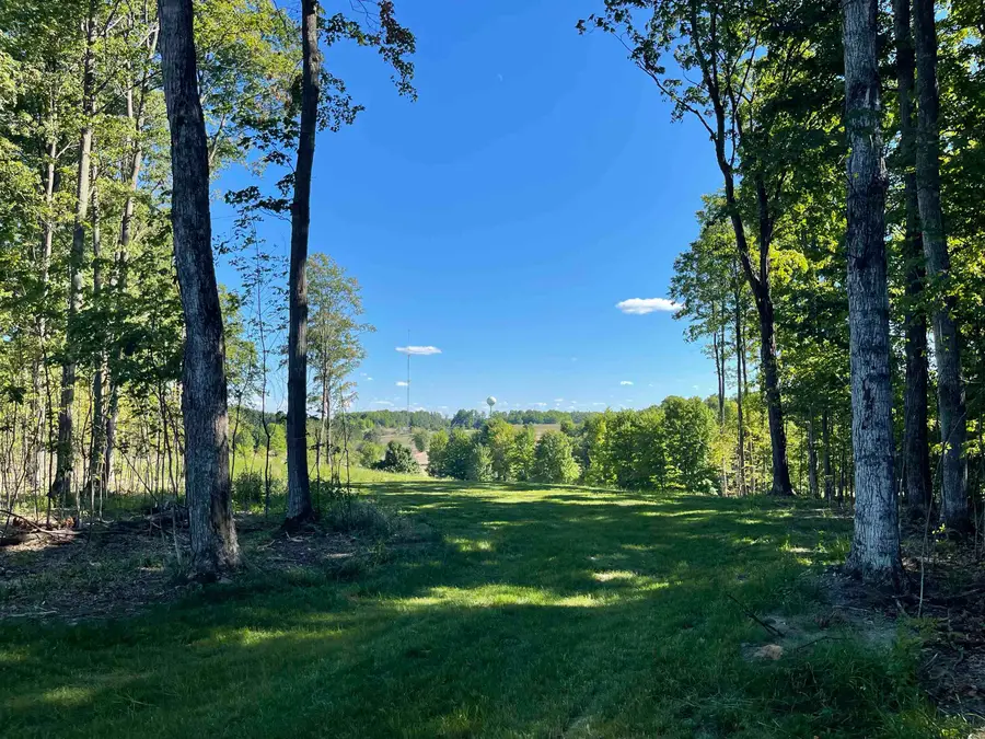 6075 Mountain Sky, Kingsley, MI 49649 - #3