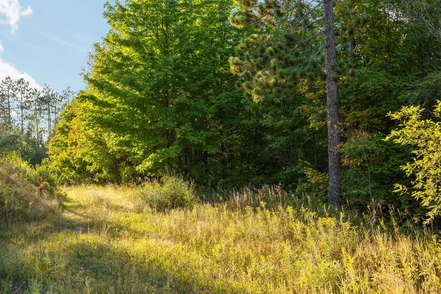 171 NE Colt, Kalkaska, MI 49646 - #2