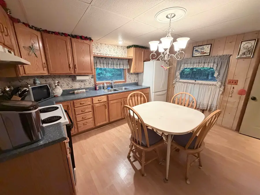 8702 Deadstream RD, Honor, MI 49640 - #2