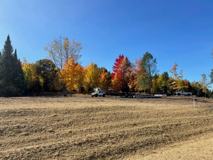10825 SW Pine Ridge, Fife Lake, MI 49633 - #3