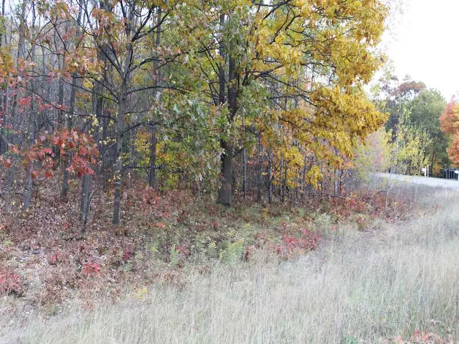 Lot 53 Bramblewood, Cadillac, MI 49601 - #2