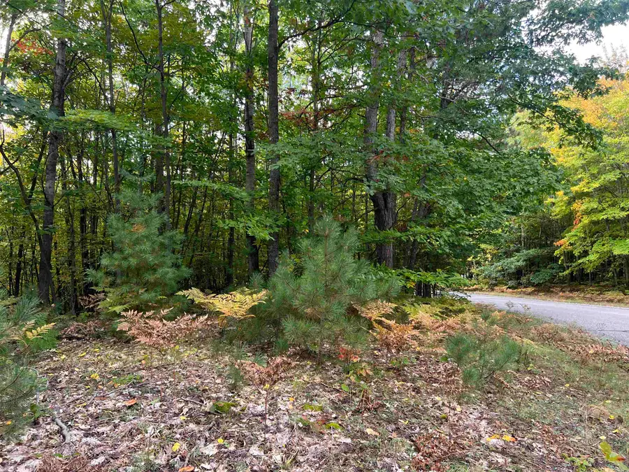 Lot 53 Bramblewood, Cadillac, MI 49601 - #3