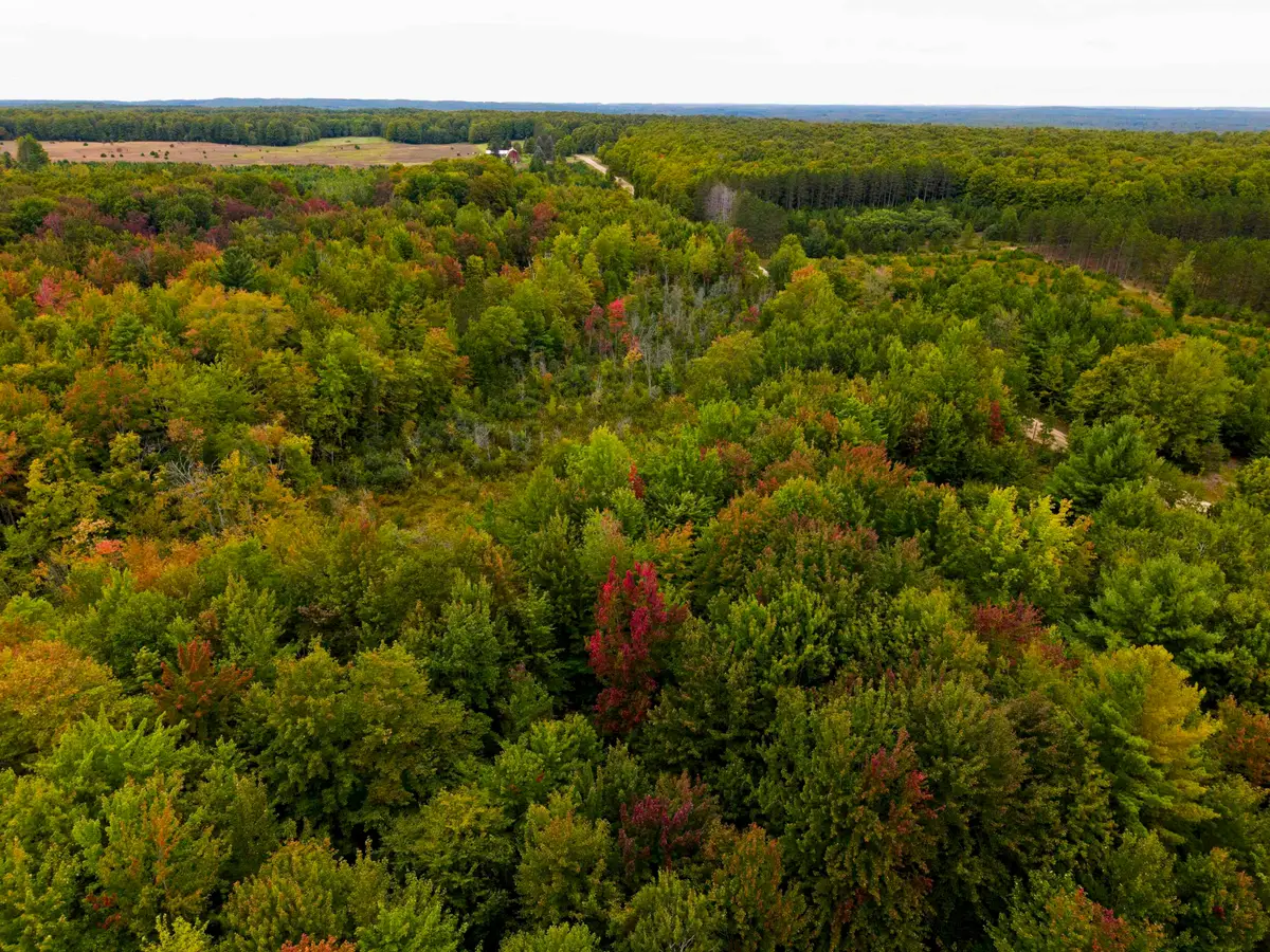 0000 W Sharon, Fife Lake, MI 49633 - #1