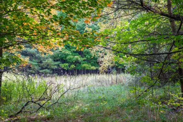 V/L County Road 633, Grawn, MI 49637