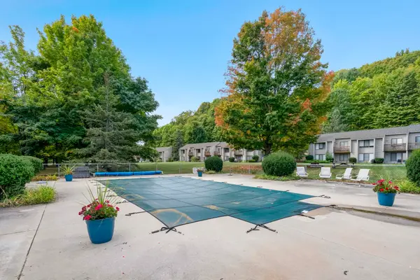 11255 E Fort, SuttonsBay, MI 49682