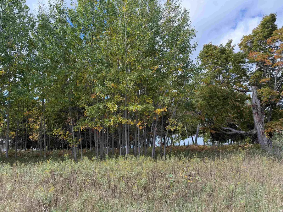 7777 Mulberry LN, Charlevoix, MI 49720 - #2