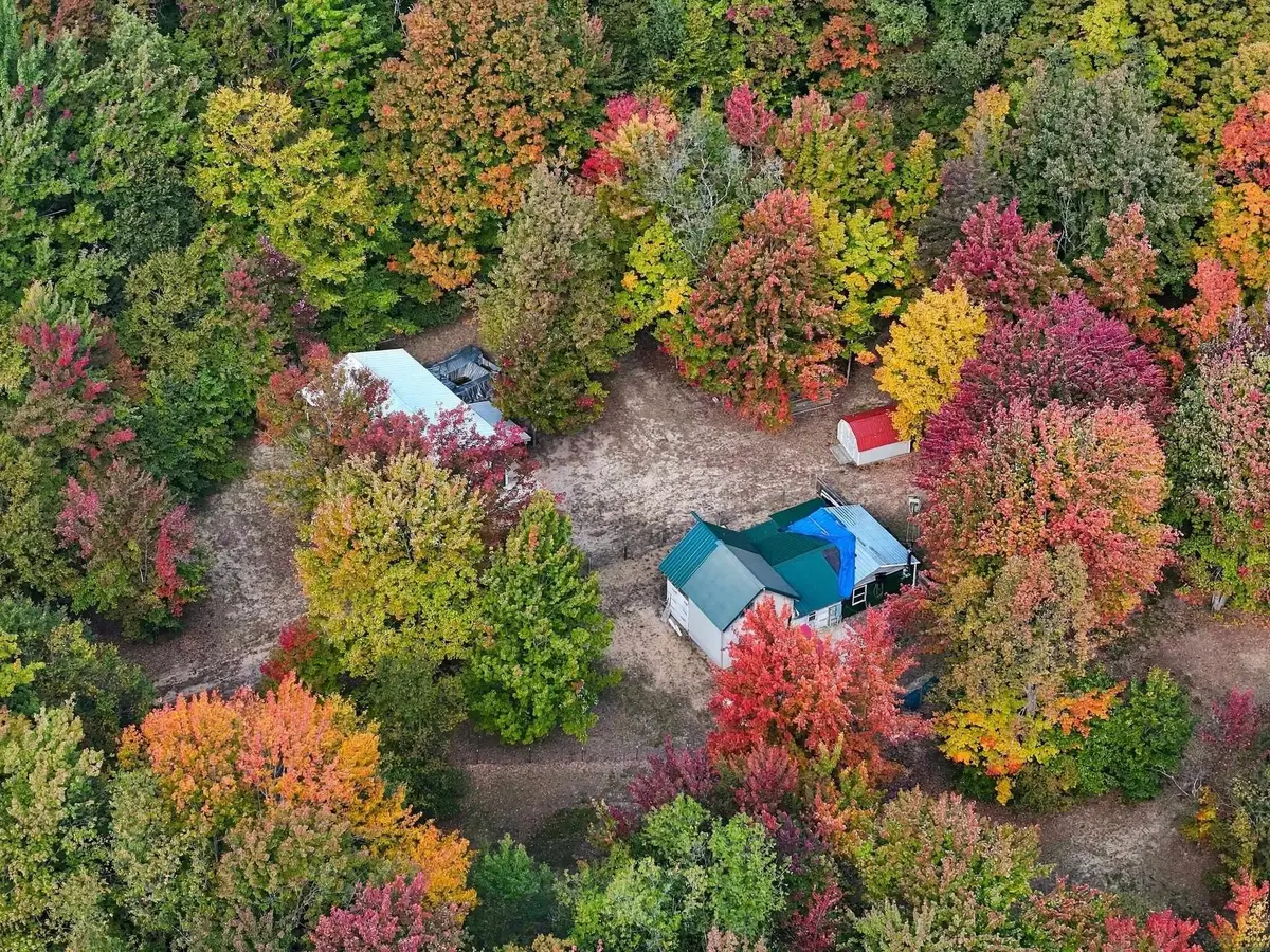 11096 Dirt RD, Mesick, MI 49668 - #1