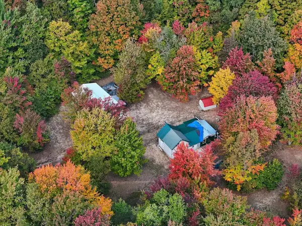 11096 Dirt RD, Mesick, MI 49668