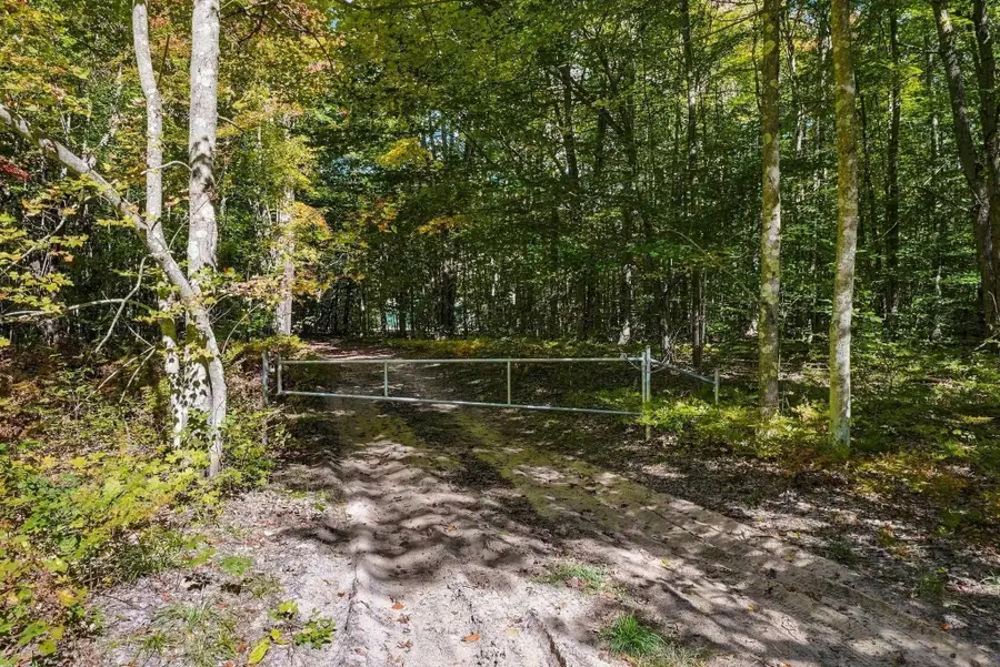 11096 Dirt RD, Mesick, MI 49668 - #2