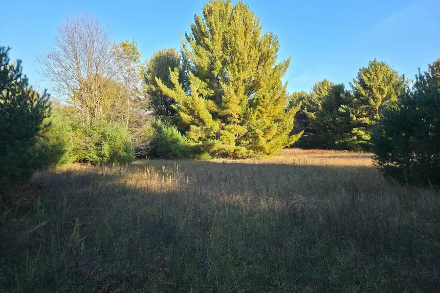 10 VL Betsie River, Interlochen, MI 49643 - #3