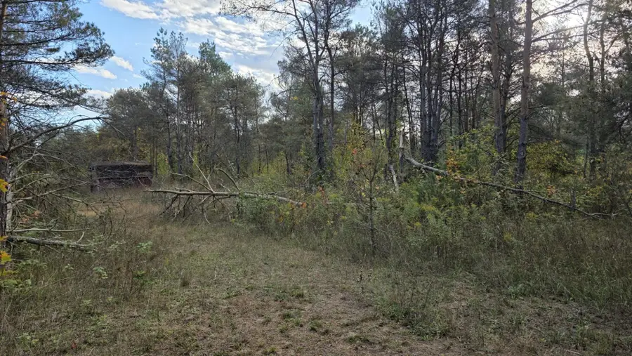 0 Leya, Beulah, MI 49617 - #3