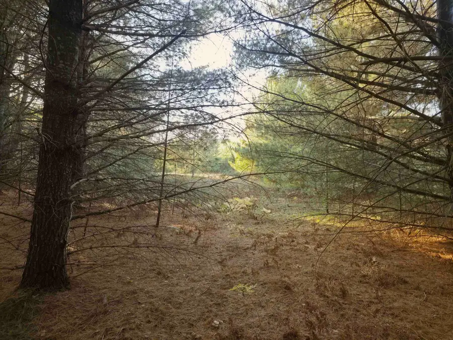 8 VL Betsie River, Interlochen, MI 49643 - #2
