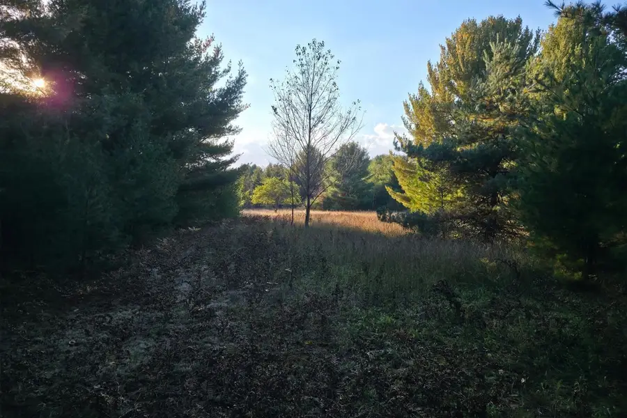 8 VL Betsie River, Interlochen, MI 49643 - #3