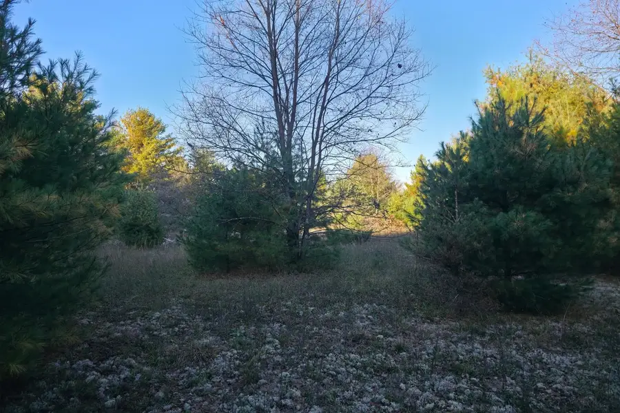 18.88 VL Betsie River, Interlochen, MI 49643 - #3