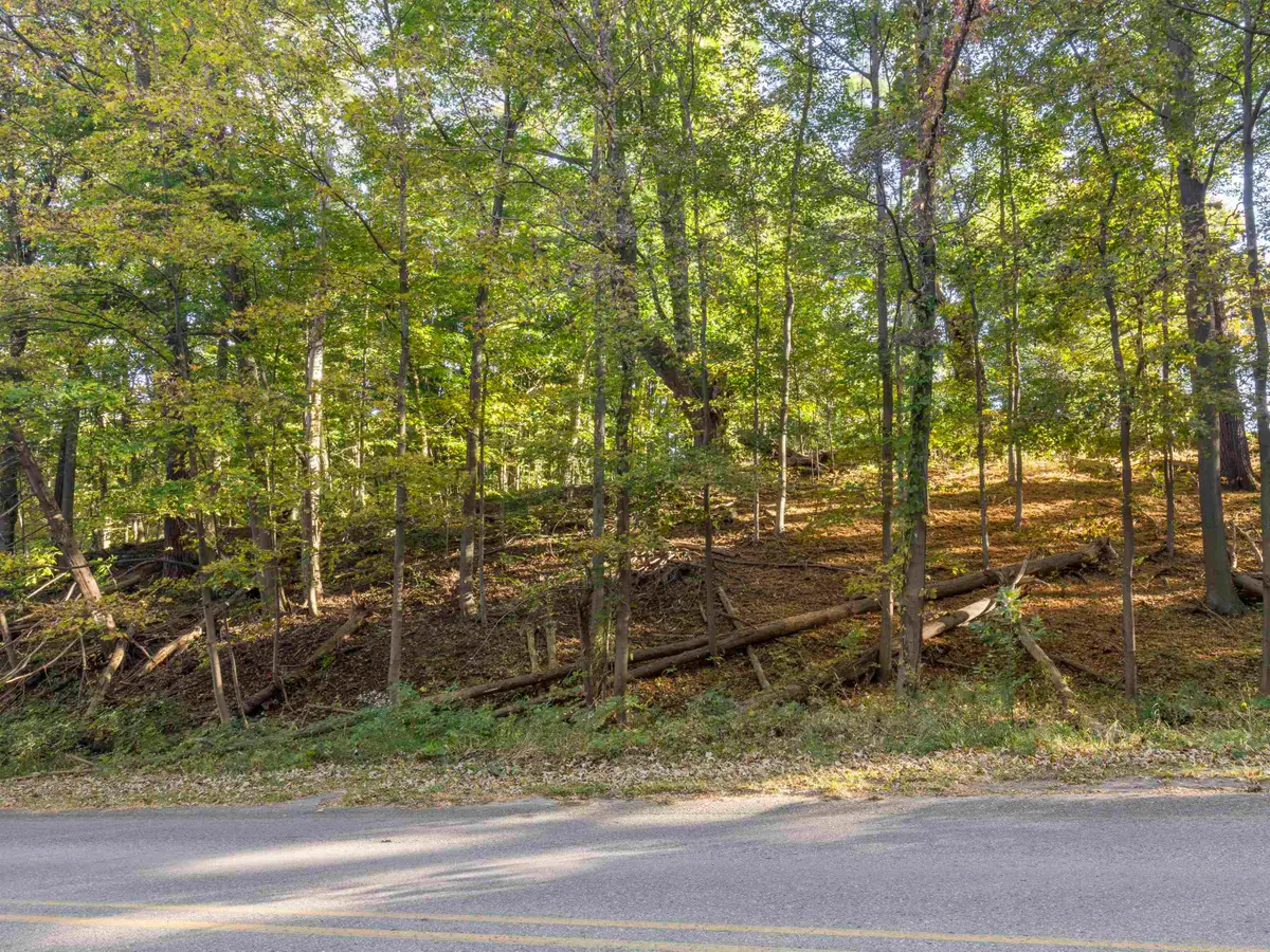 00 Traverse, Benzonia, MI 49616 - #1