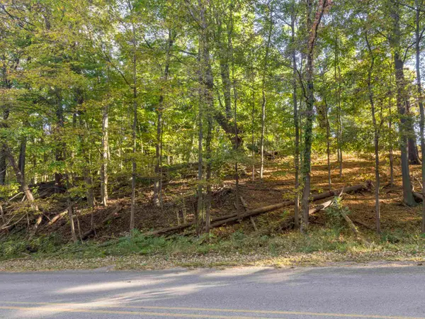 00 Traverse, Benzonia, MI 49616