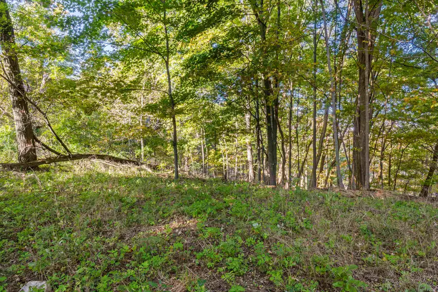 00 Traverse, Benzonia, MI 49616 - #2