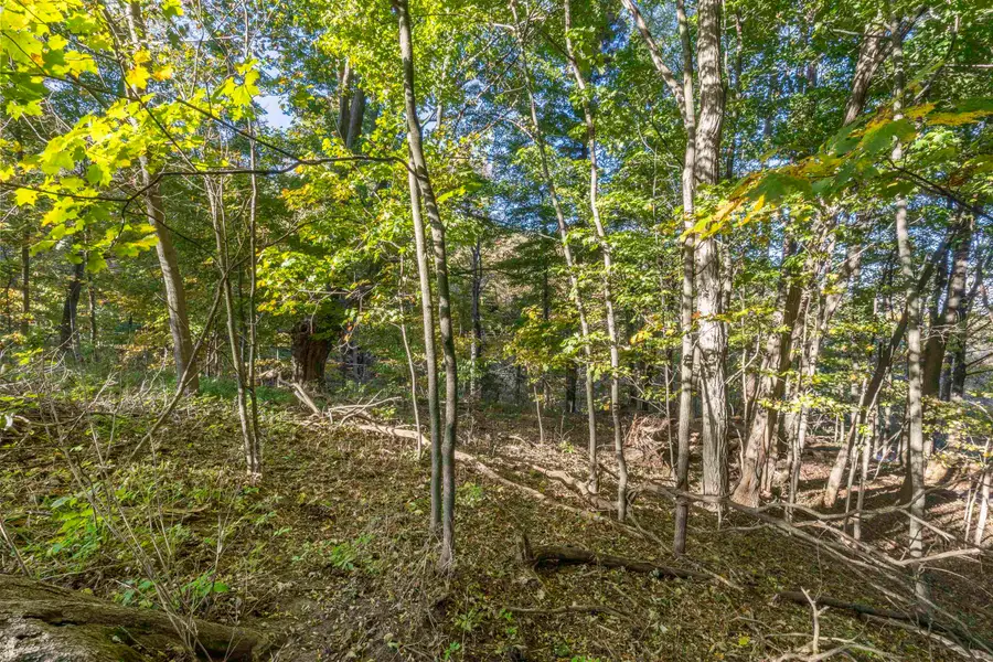 00 Traverse, Benzonia, MI 49616 - #3