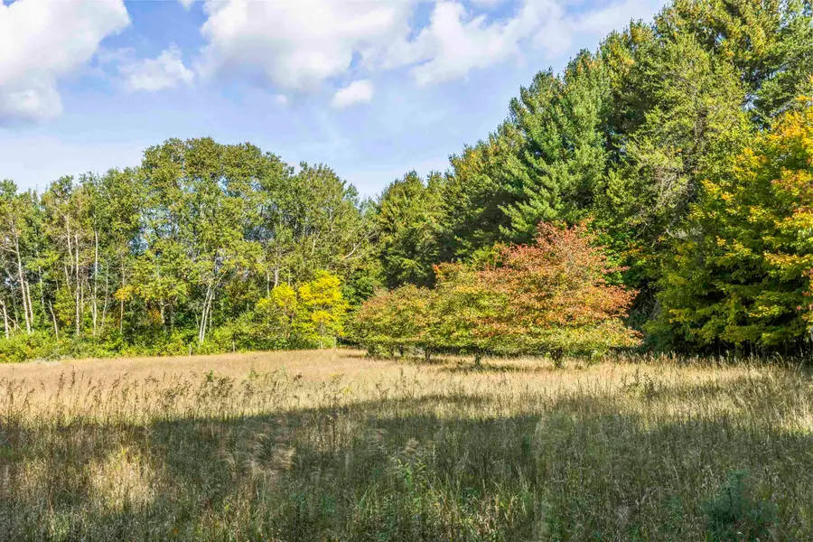 10 Acres Stanton RD, Thompsonville, MI 49683 - #3