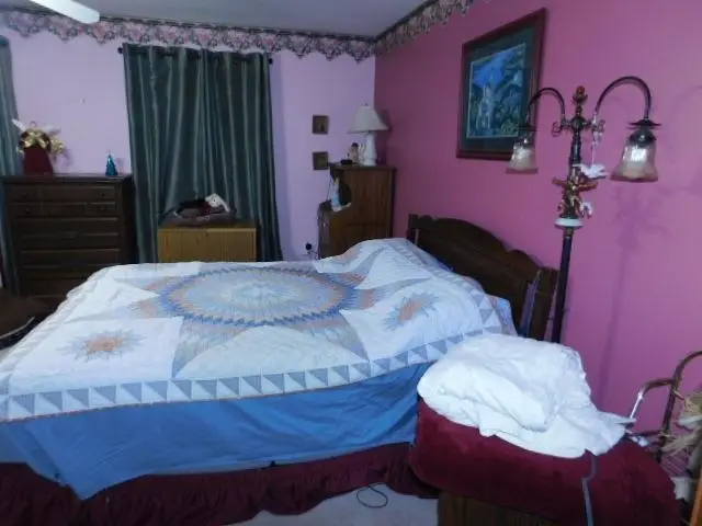 10205 W Niagara, Empire, MI 49630 - #2