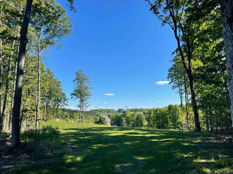 6199 Mountain Sky RD, Kingsley, MI 49649 - #3