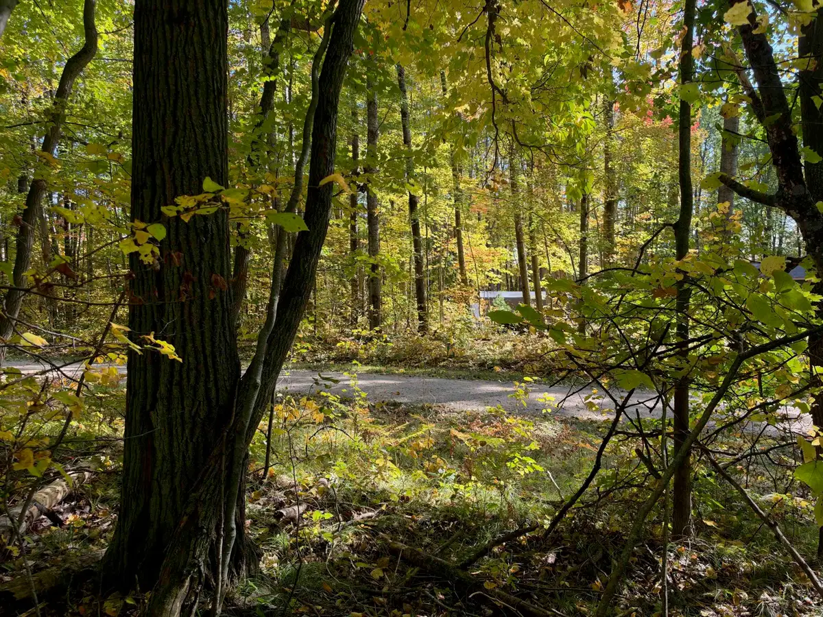 Ticino, Reedcity, MI 49677 - #1