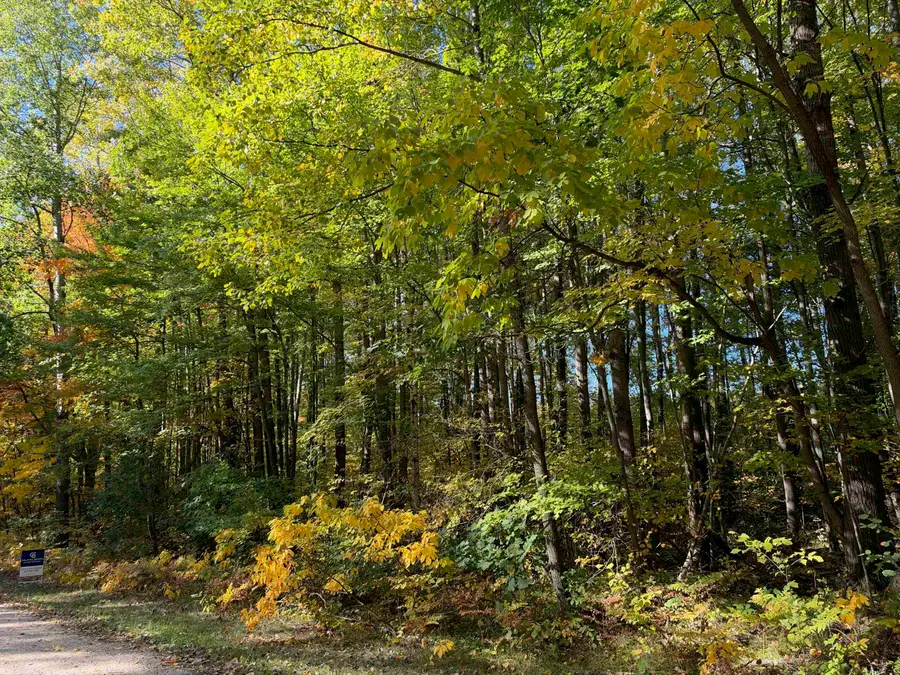 Ticino, Reedcity, MI 49677 - #3