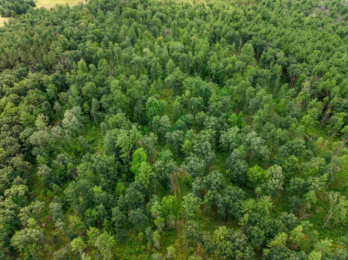 30 Acres W 48 1/2, Wellston, MI 49689 - #1