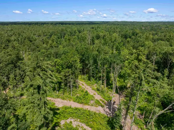 30 Acres W 48 1/2, Wellston, MI 49689