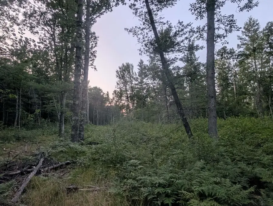 30 Acres W 48 1/2, Wellston, MI 49689 - #2