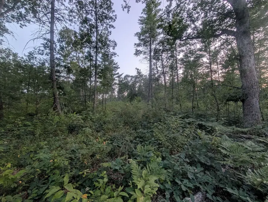 30 Acres W 48 1/2, Wellston, MI 49689 - #3
