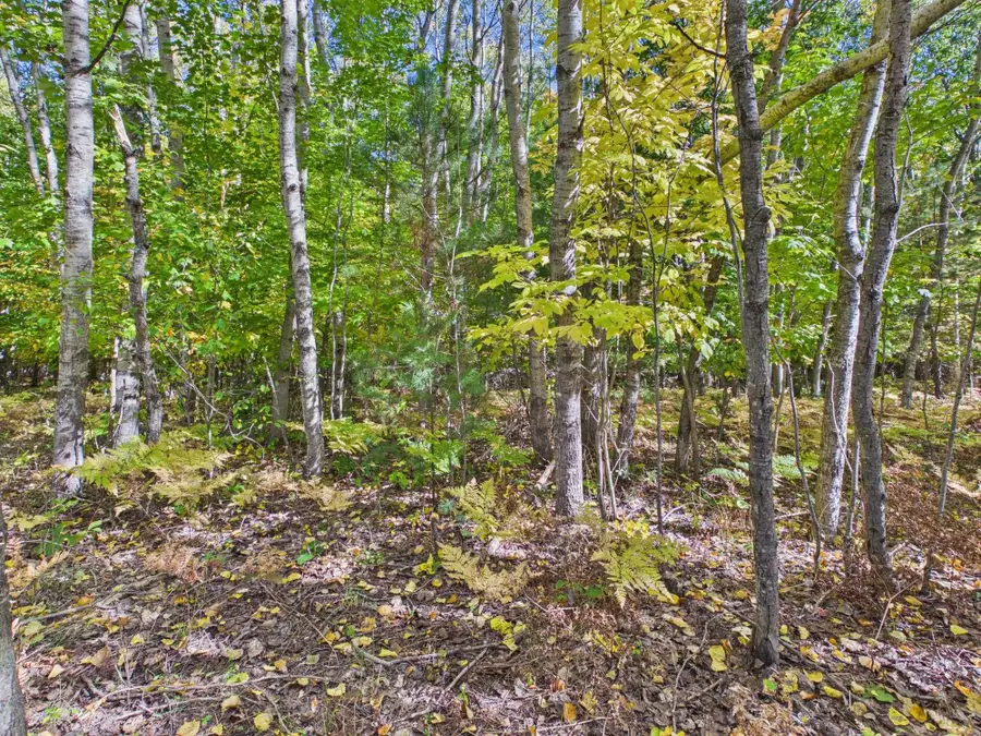 4836 Arbor Latch, Long Lake, MI 49685 - #3