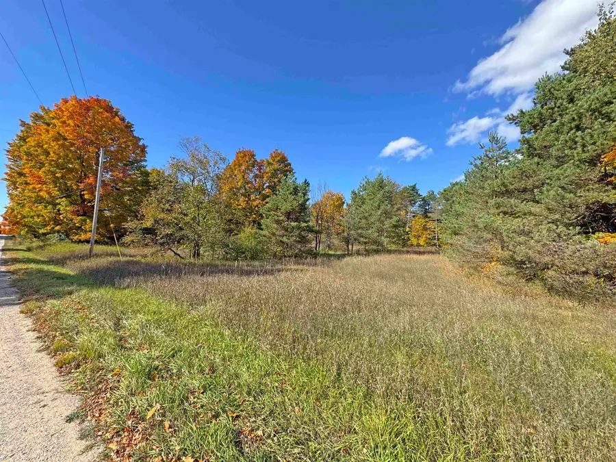 14XXX Brownell, Beulah, MI 49617 - #2