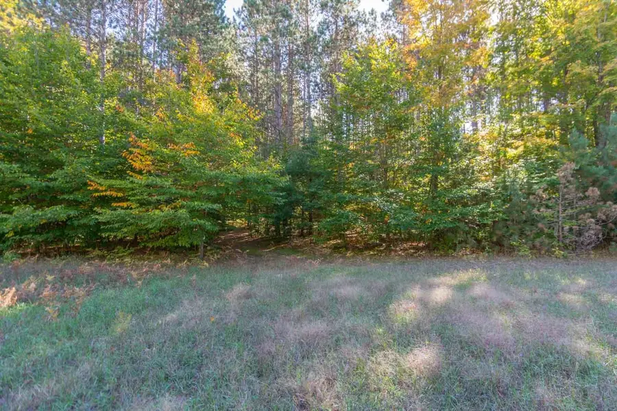 0000 W Darga RD, Cedar, MI 49621 - #3