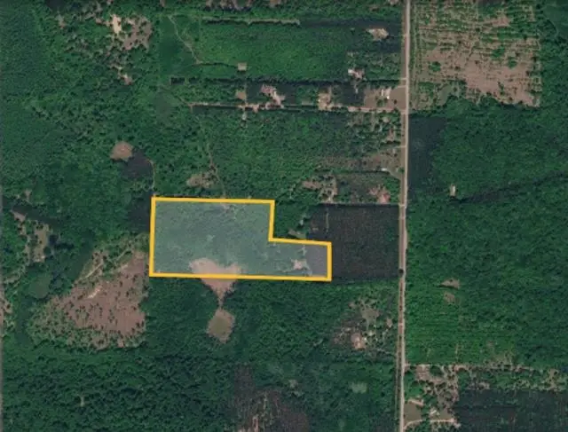 28 Acres Wallaker RD, Benzonia, MI 49617 - #2