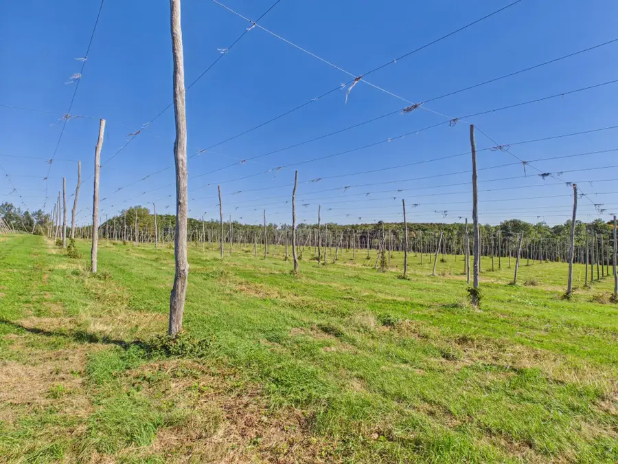 Multiple N Omena Rise, Northport, MI 49670 - #3