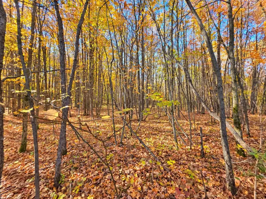 18 A N Vander Meulen, Forest, MI 49651 - #2